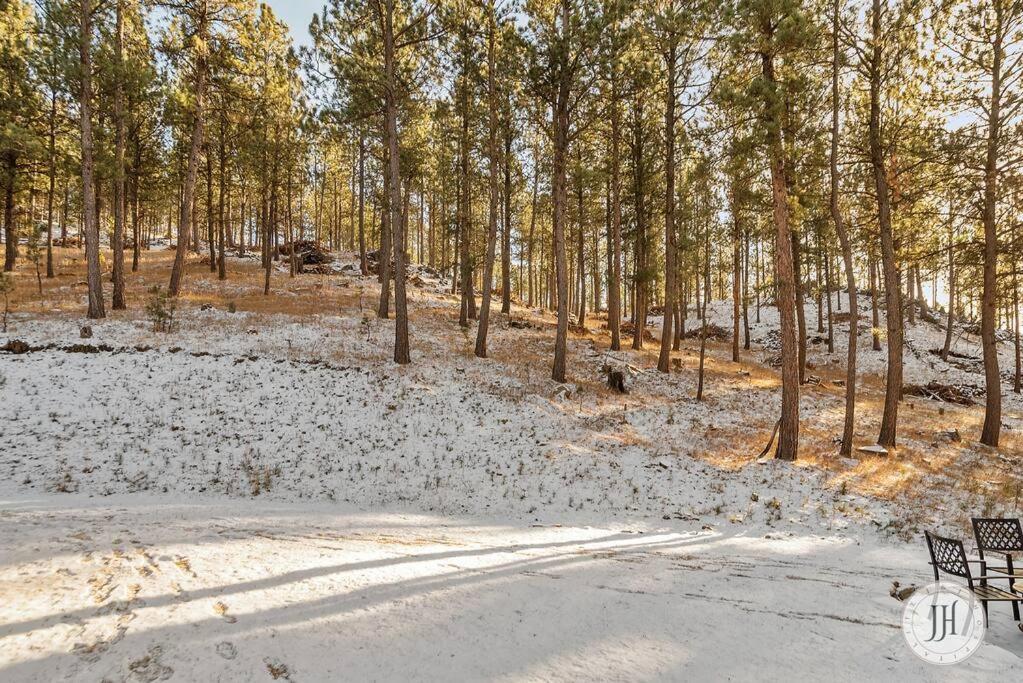 Elk Ridge Fire Place Custer Exterior foto